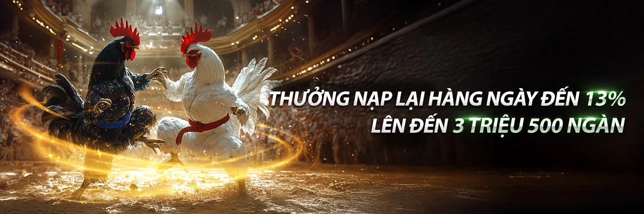 Hình ảnh giới thiệu r88bet nhà cái